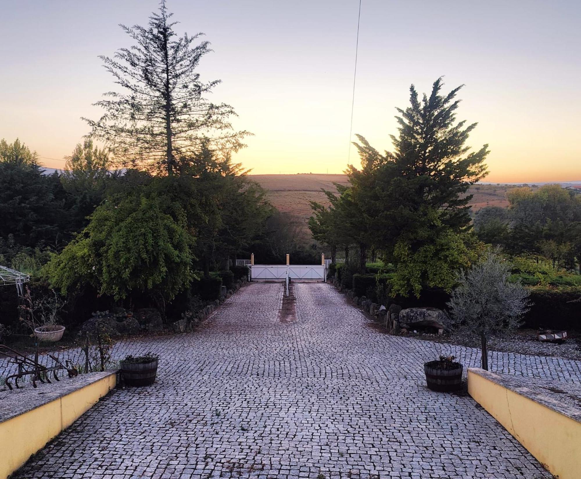 Quinta Da Libelinha Local - Holiday home *